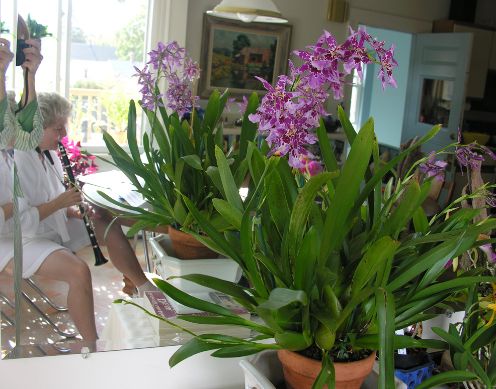 Heather clarinet & Tom's orchids